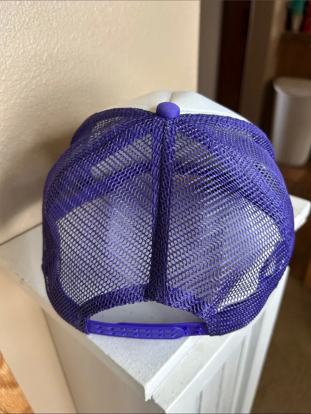 SUNSHINE Mixed with a Little Hurricane Purple Trucker Cap